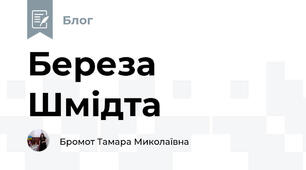 Береза ​​Шмідта