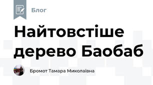 Найтовстіше дерево Баобаб
