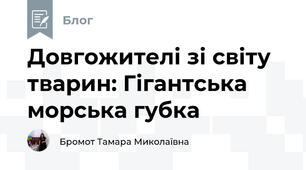 Довгожителі зі світу тварин: Гігантська морська губка
