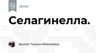 Селагинелла.