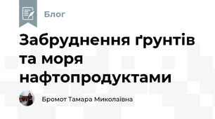 Забруднення ґрунтів та моря нафтопродуктами
