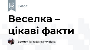Веселка – цікаві факти
