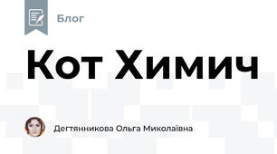 Кот Химич