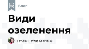 Види озеленення