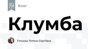 Клумба