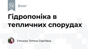Гідропоніка в тепличних спорудах