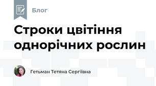 Строки цвітіння однорічних рослин