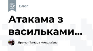 Атакама з васильками...