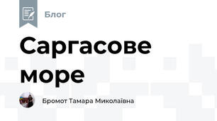 Саргасове море