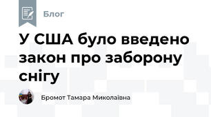 У США було введено закон про заборону снігу