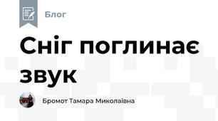 Сніг поглинає звук