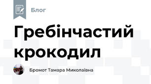 Гребінчастий крокодил
