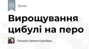 Вирощування цибулі на перо