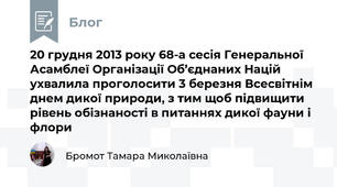 20 грудня 2013 року 68-а сесія Генеральної Асамблеї Організації Об’єднаних Націй ухвалила проголосити 3 березня Всесвітнім днем дикої природи, з тим щоб підвищити рівень обізнаності в питаннях дикої фауни і флори
