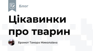 Цікавинки про тварин