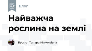 Найважча рослина на землі