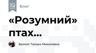«Розумний» птах...