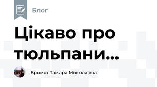 Цікаво про тюльпани...