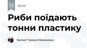 Риби поїдають тонни пластику