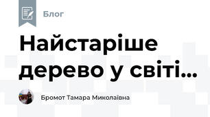 Найстаріше дерево у світі...