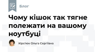 Чому кішок так тягне полежати на вашому ноутбуці