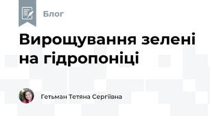 Вирощування зелені на гідропоніці