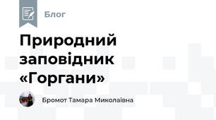 Природний заповідник «Горгани»