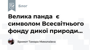 Велика панда  є символом Всесвітнього фонду дикої природи...
