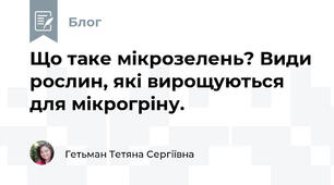 Що таке мікрозелень? Види рослин, які вирощуються для мікрогріну.