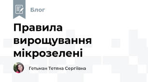 Правила вирощування мікрозелені
