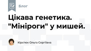 Цікава генетика. "Мініроги" у мишей.