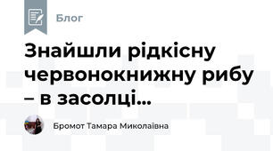 Знайшли рідкісну червонокнижну рибу – в засолці...