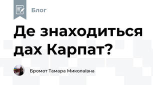 Де знаходиться дах Карпат?