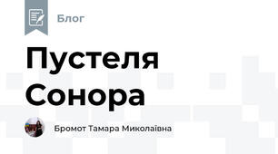 Пустеля Сонора