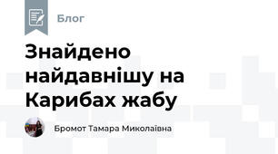 Знайдено найдавнішу на Карибах жабу