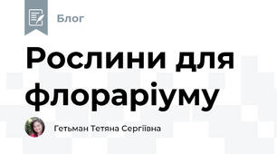 Рослини для флораріуму