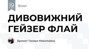 ДИВОВИЖНИЙ ГЕЙЗЕР ФЛАЙ  