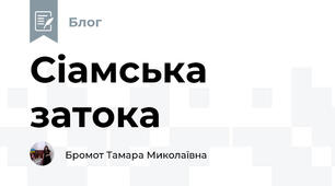 Сіамська затока