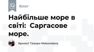 Найбільше море в світі:  Саргасове море. 