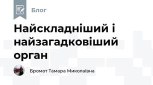 Найскладніший і найзагадковіший орган