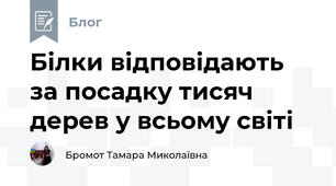 Білки відповідають за посадку тисяч дерев у всьому світі