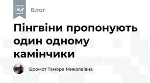 Пінгвіни пропонують один одному камінчики