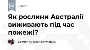 Як рослини Австралії виживають під час пожежі?
