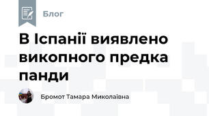 В Іспанії виявлено викопного предка панди