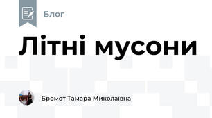 Літні мусони