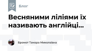 Весняними ліліями їх називають англійці...