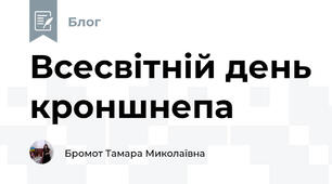 Всесвітній день кроншнепа