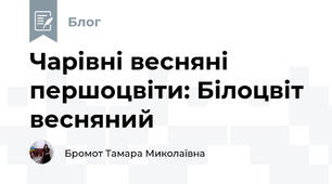 Чарівні весняні першоцвіти: Білоцвіт весняний 