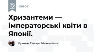 Хризантеми — імператорські квіти в Японії.