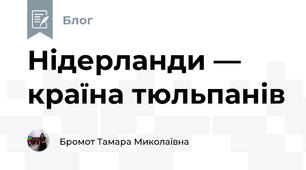 Нідерланди — країна тюльпанів
